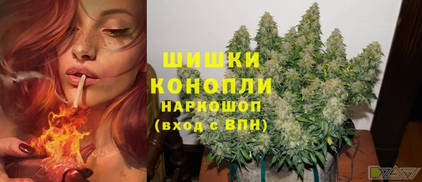 a pvp Аркадак